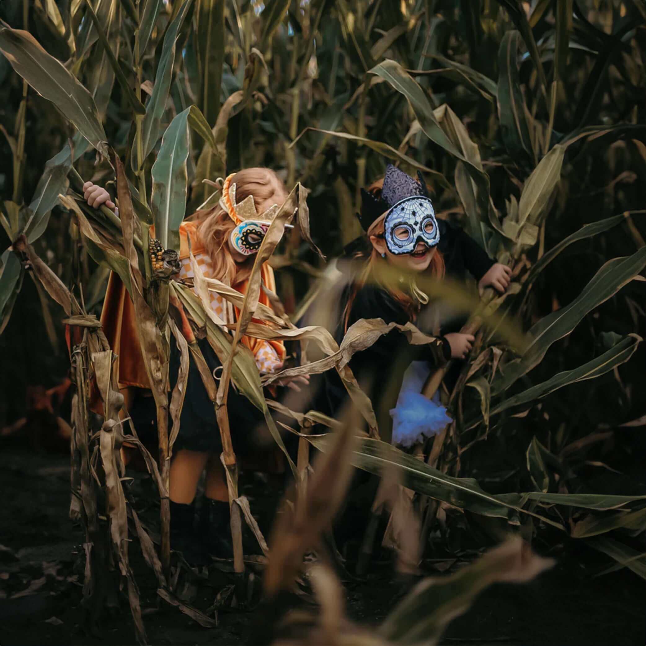 Schädelmaske Farbenfrohes Halloween