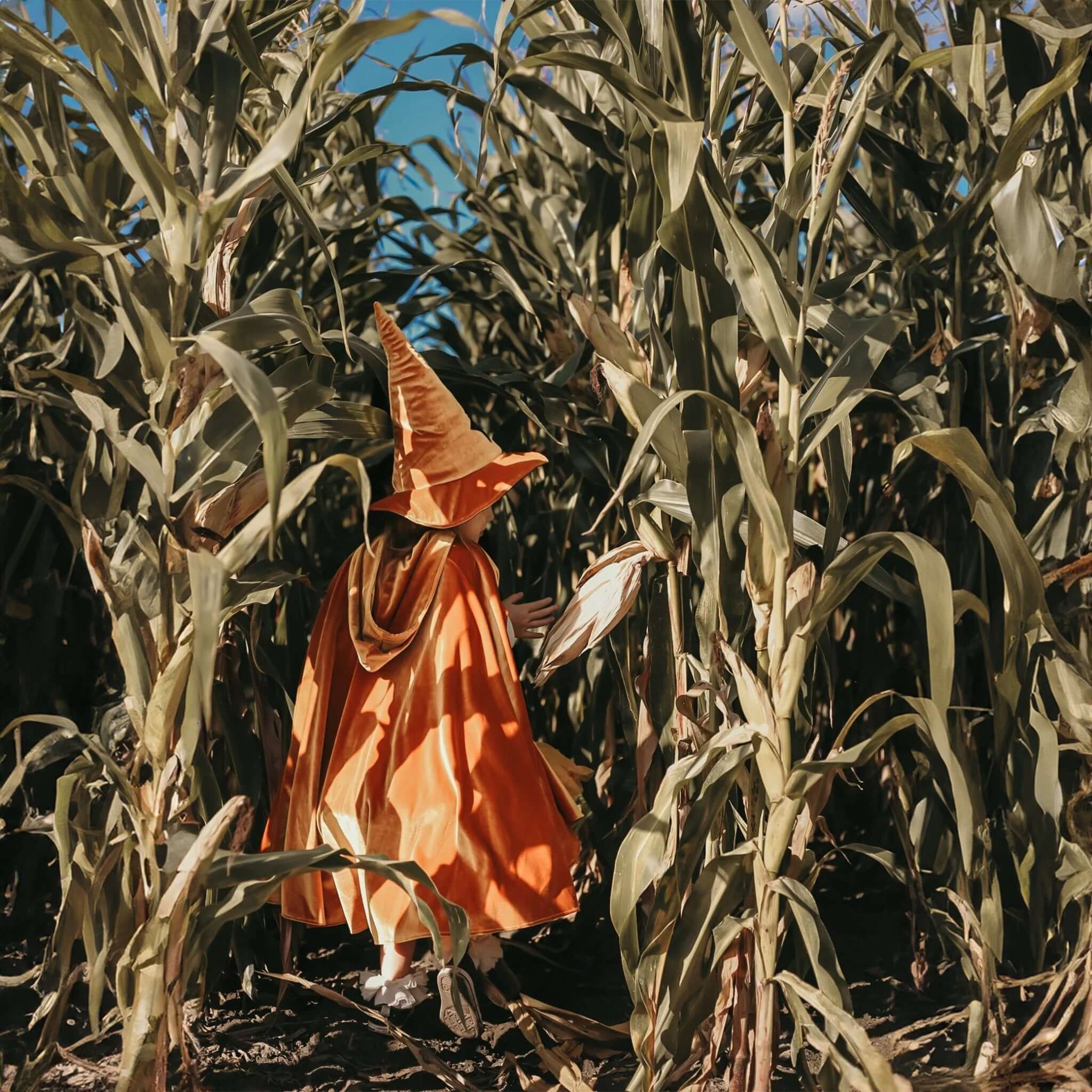 Hexenhut &quot;Gold Magic&quot;